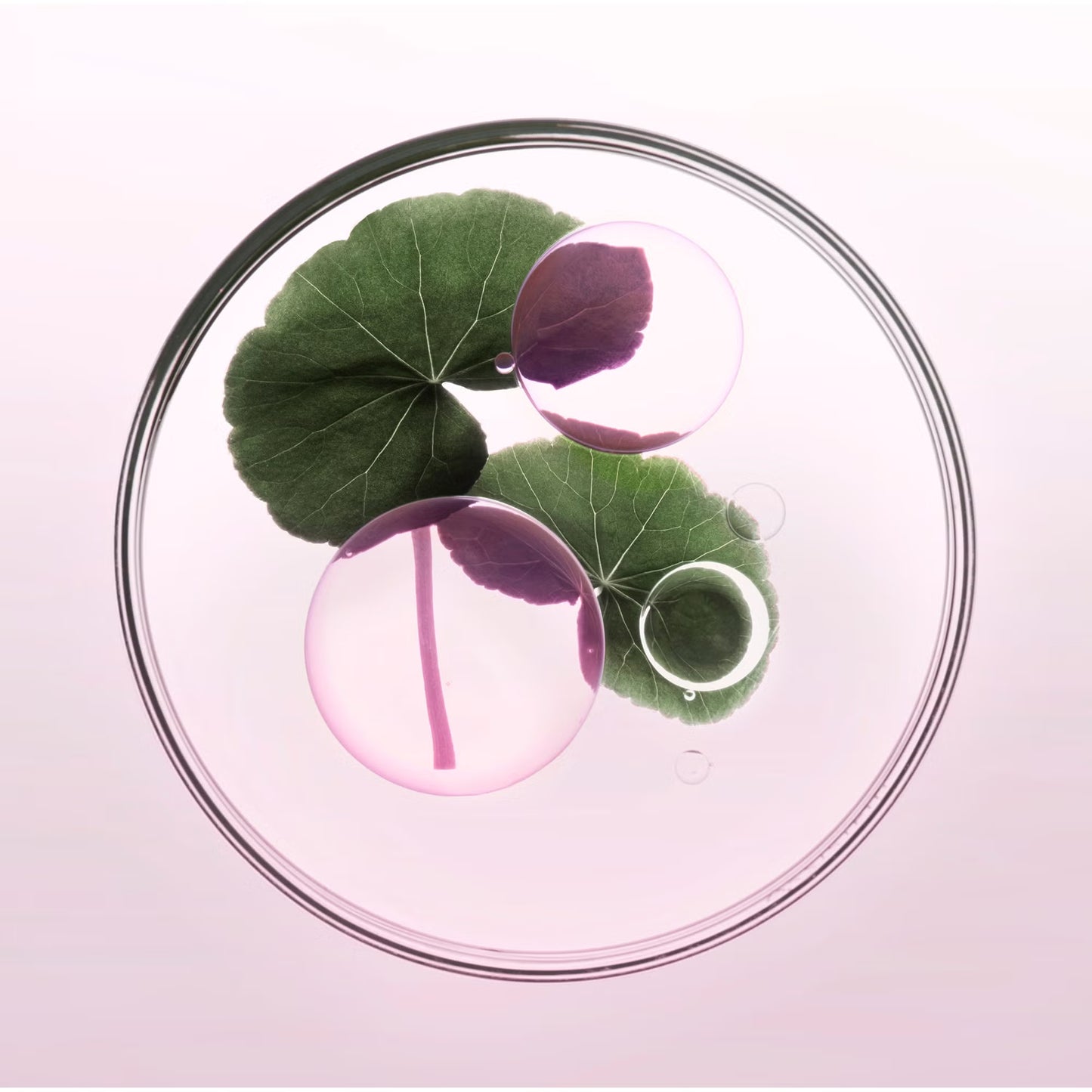 KÉRASTASE Chroma Absolu L'Huile Chroma Eclat Radiance Sublimating Hair Oil 30ml